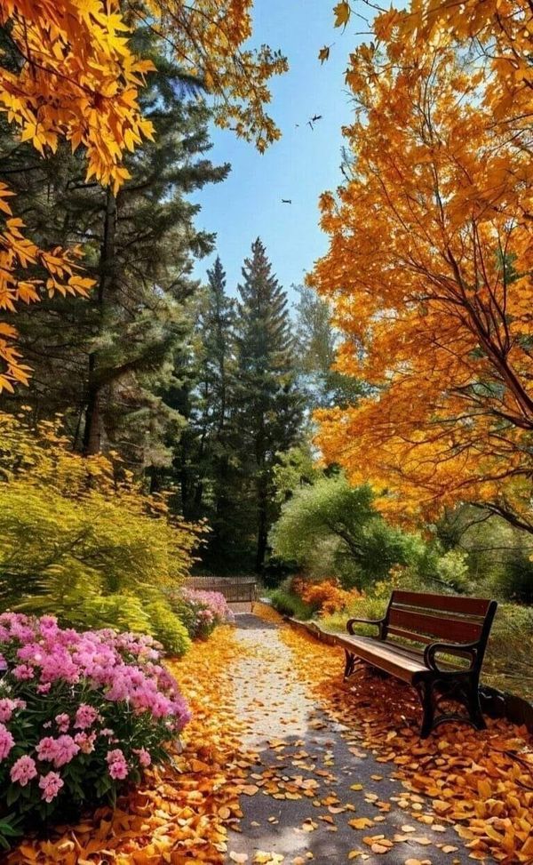 Осенью живу