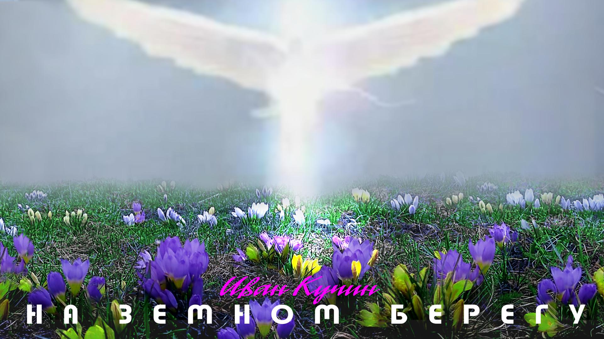 На земном берегу