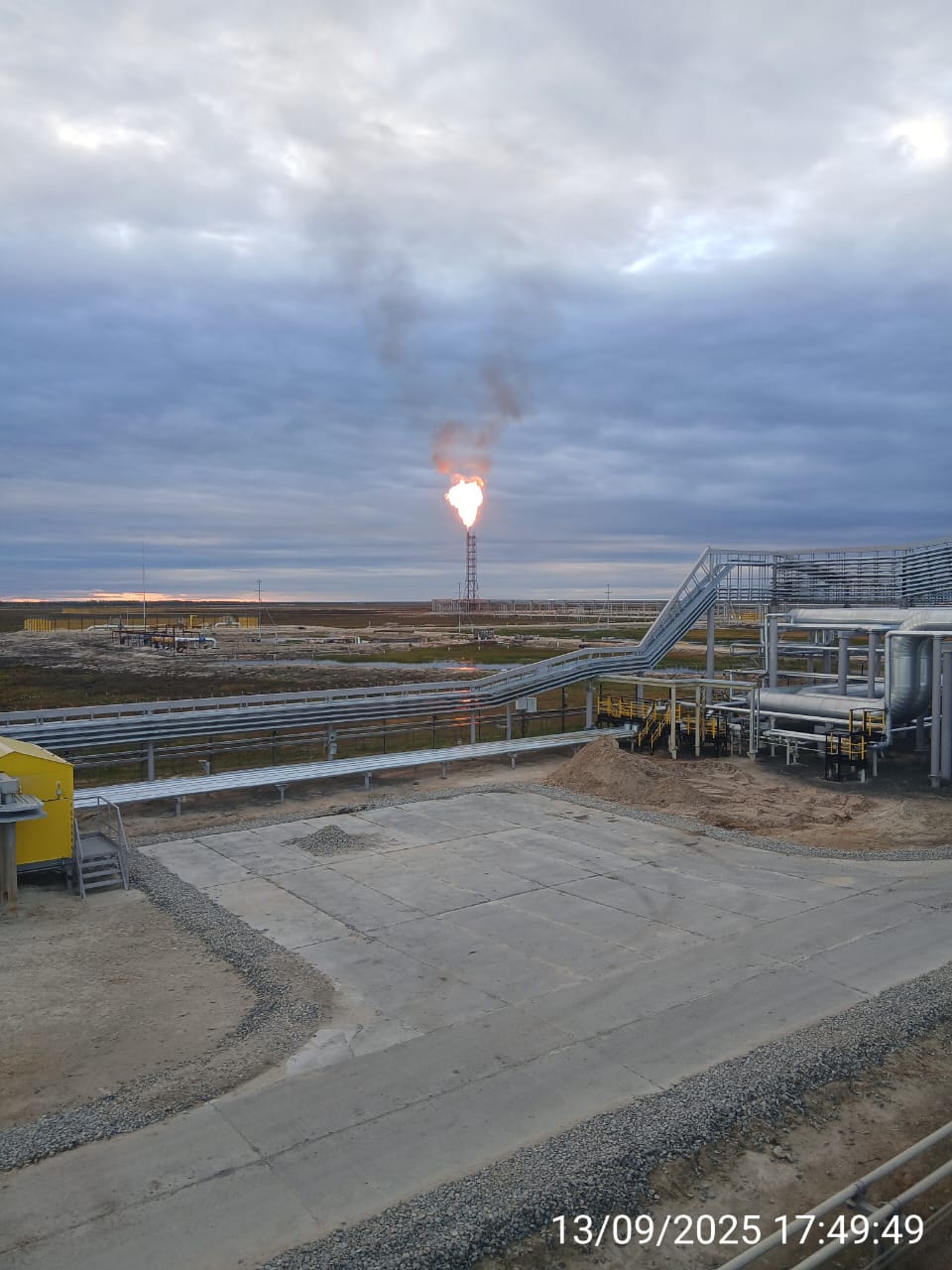 Любимые виды