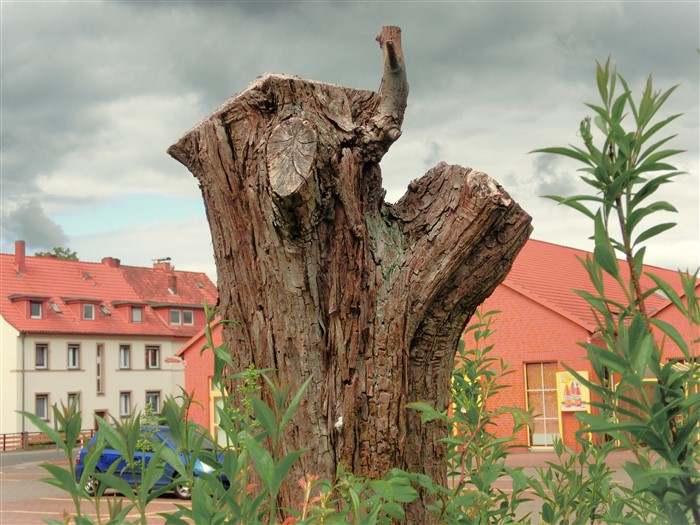 Дело житейское