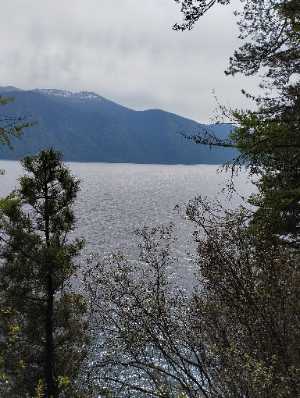 Алтая Горного краса