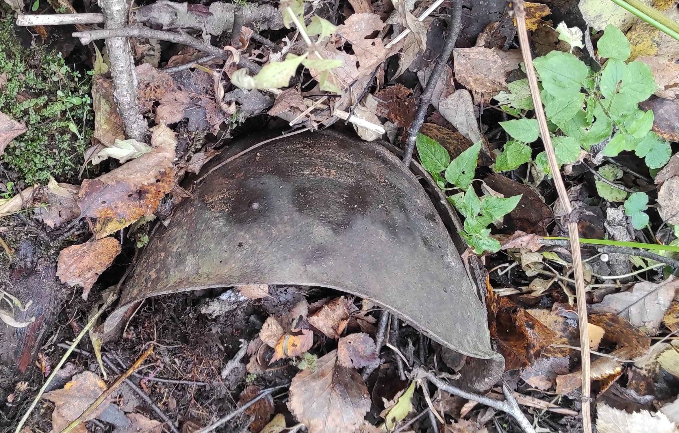 Безвеременник