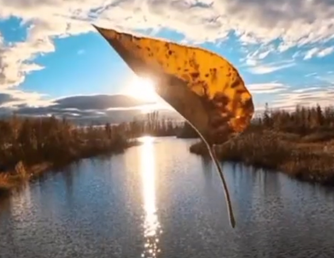 Осенние почемучки