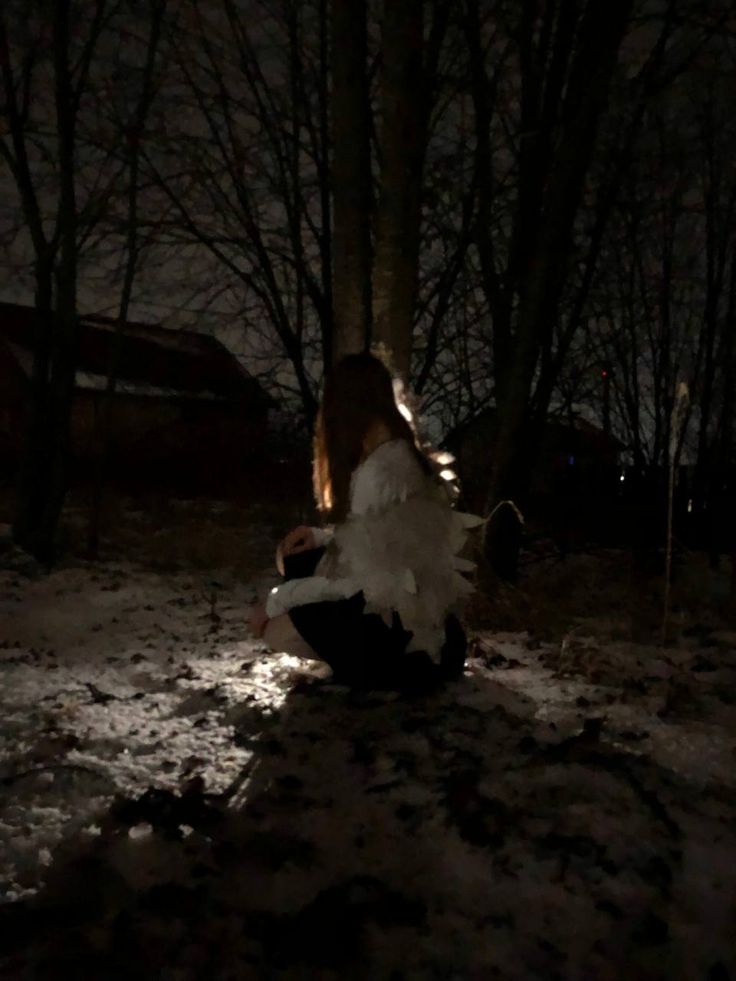 Волк и Овца