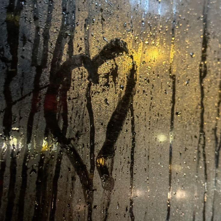 про недосить та любу