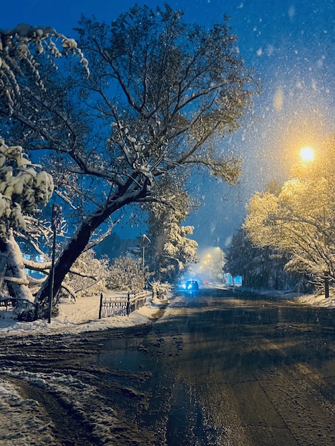 Первый снег