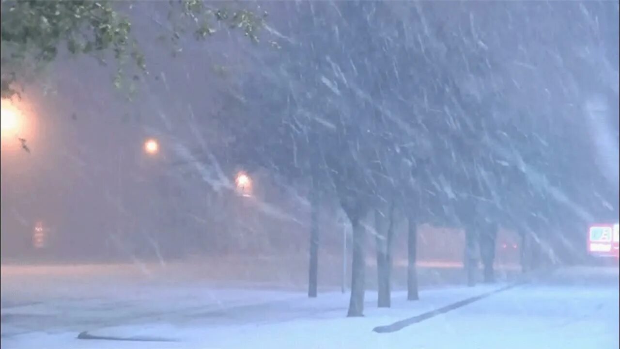 На улице мела метель!