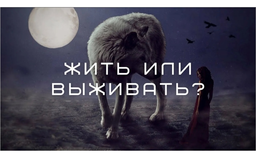 Жить или выживать?