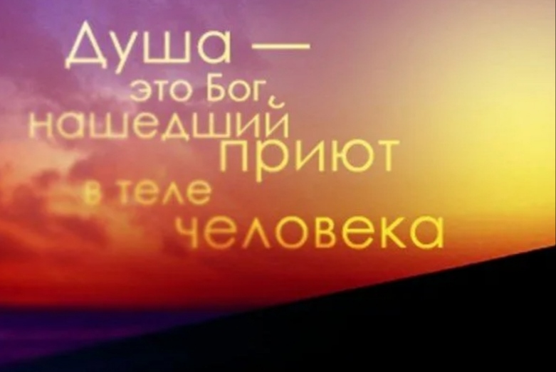 Душа-то знает вернЕй головы