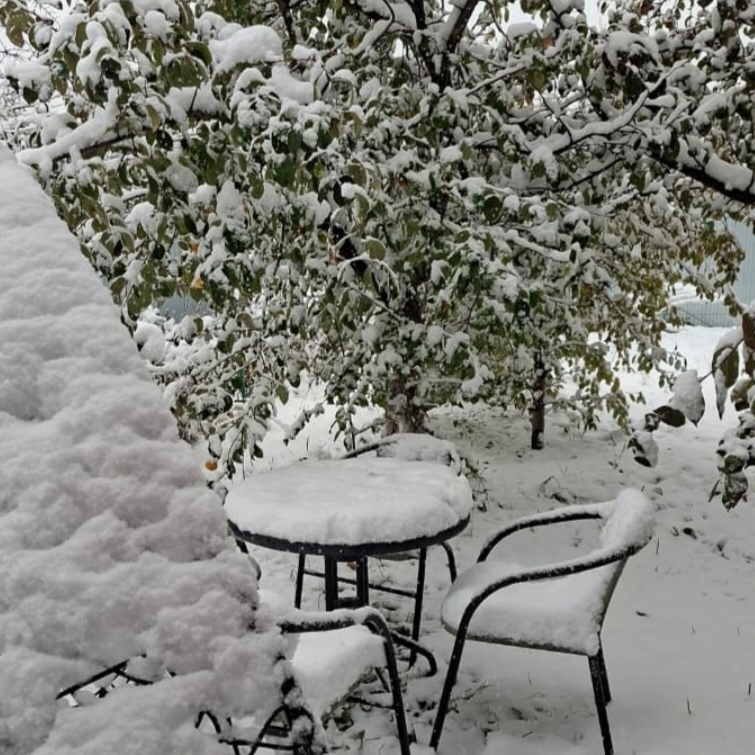 Зима на трон вступала