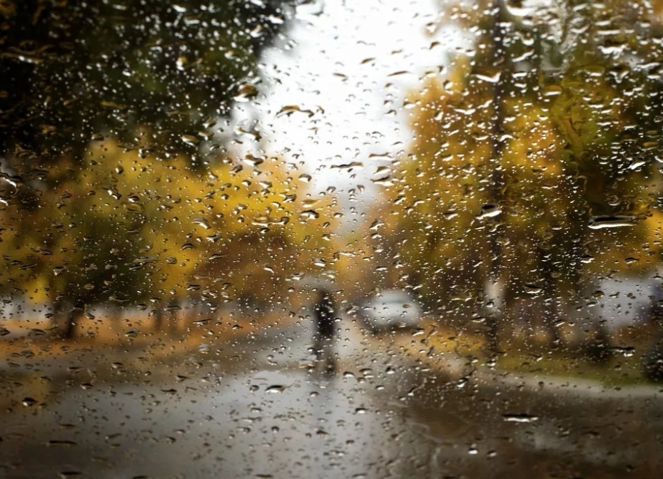 Дождь с утра моросит