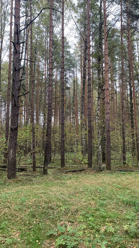 Лето улетело