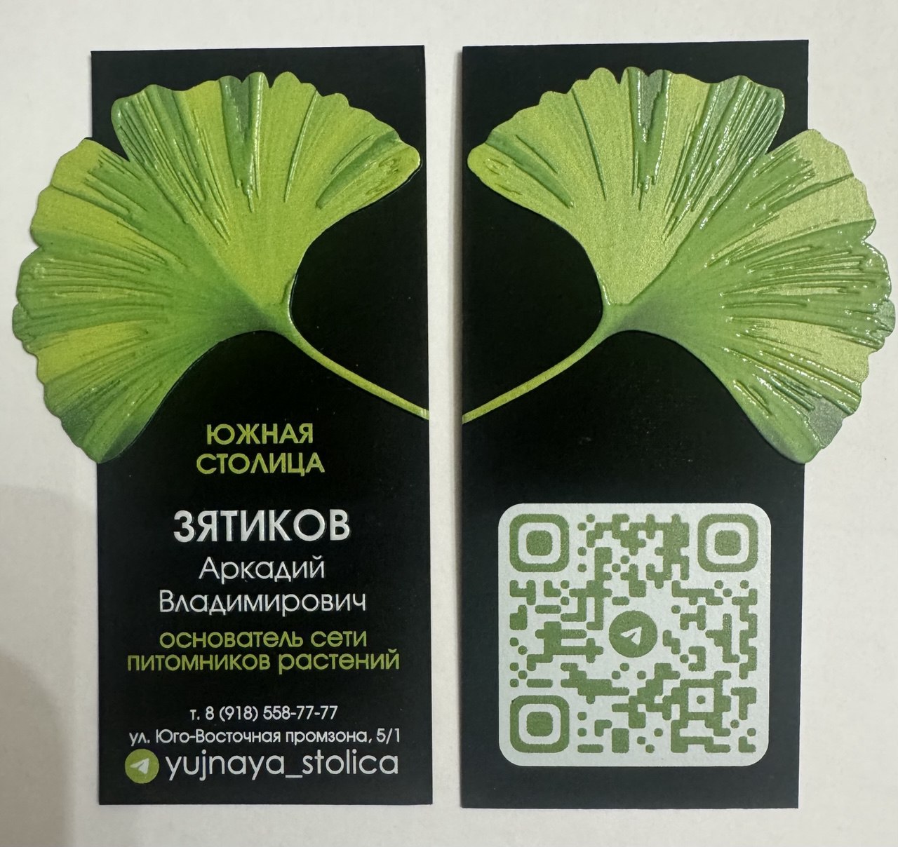 Аллея гинкго снова плодоносит