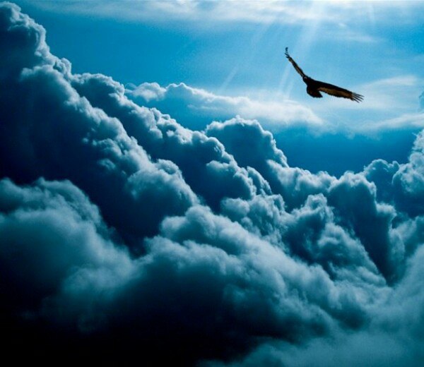 Сколько палат у нас, -в вселенной?