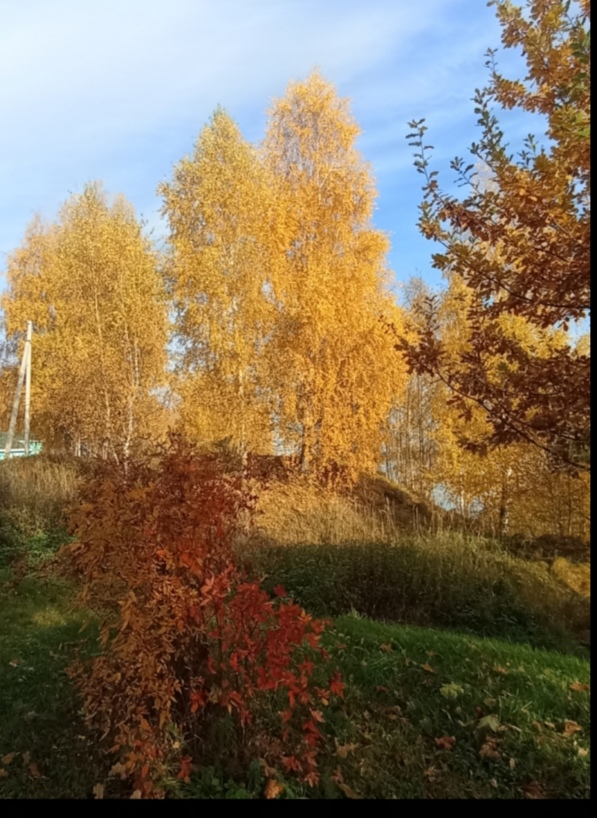 Какое сказочное время