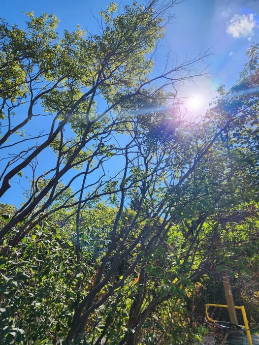 Экспромт осень