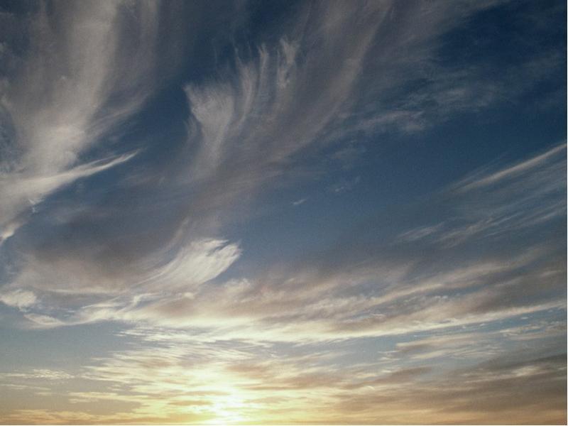 Брат мой ветер