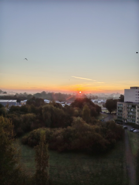 Осенний рассвет