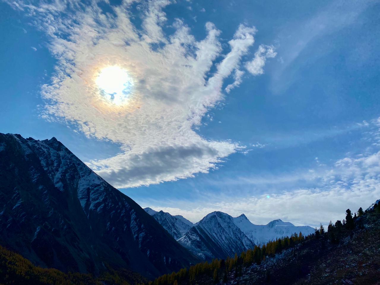 Внутренняя Птица