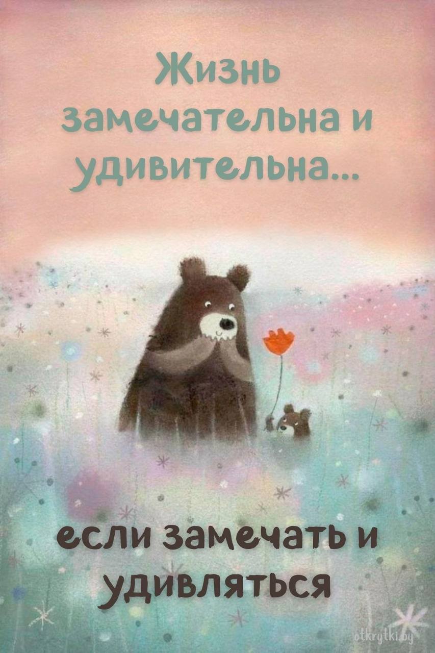 Поляков В. Избранные Полупирожки, ч. 3. Пер. на фр