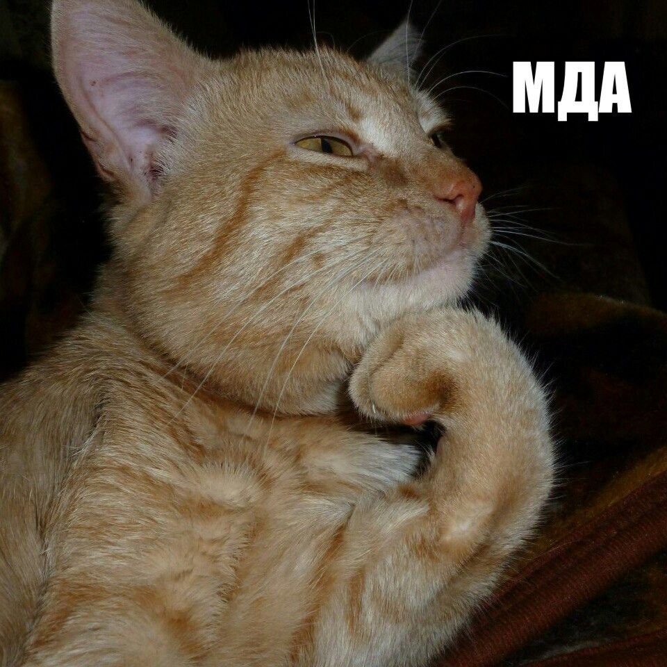 Нашла виноватого