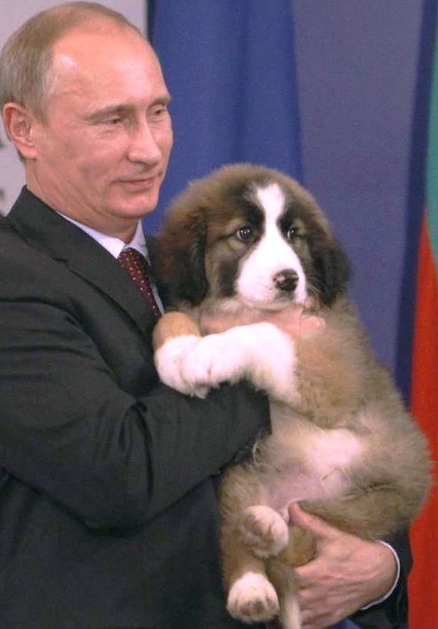 Россиянин Владимир Путин и любимые животные RU