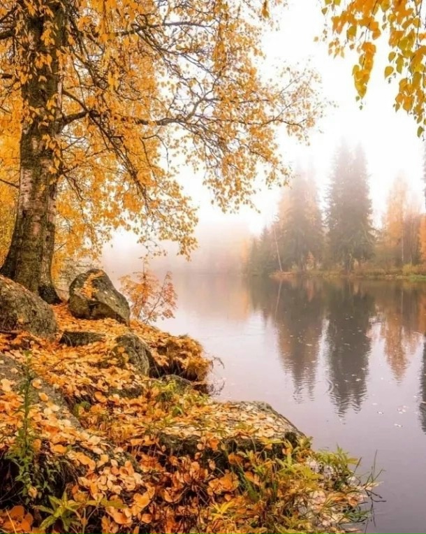 К сожаленью...