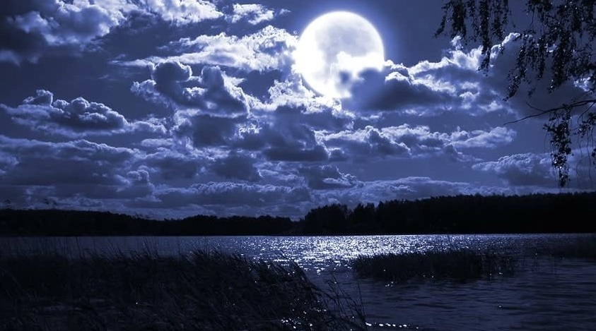 О, песнь моя...