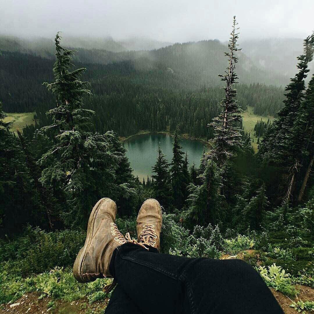 https://stihi.ru/pics/2025/10/12/3492.jpg?3480