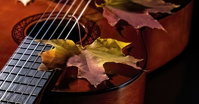 Убежало лето на юг