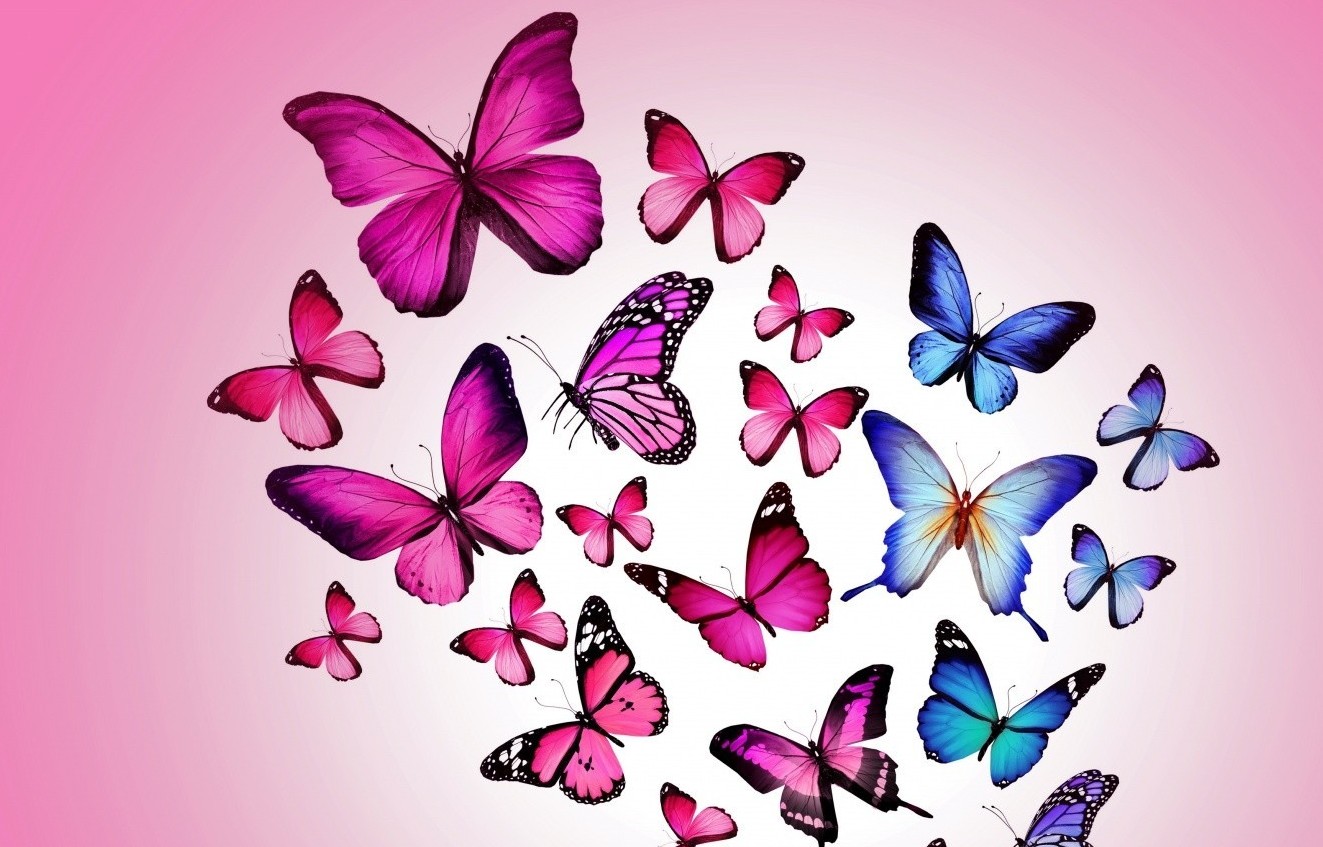 Вот говорят, что счастья нет