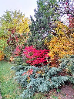 Осенняя картина