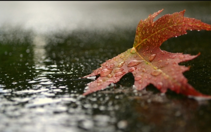 Уйди, любовь...