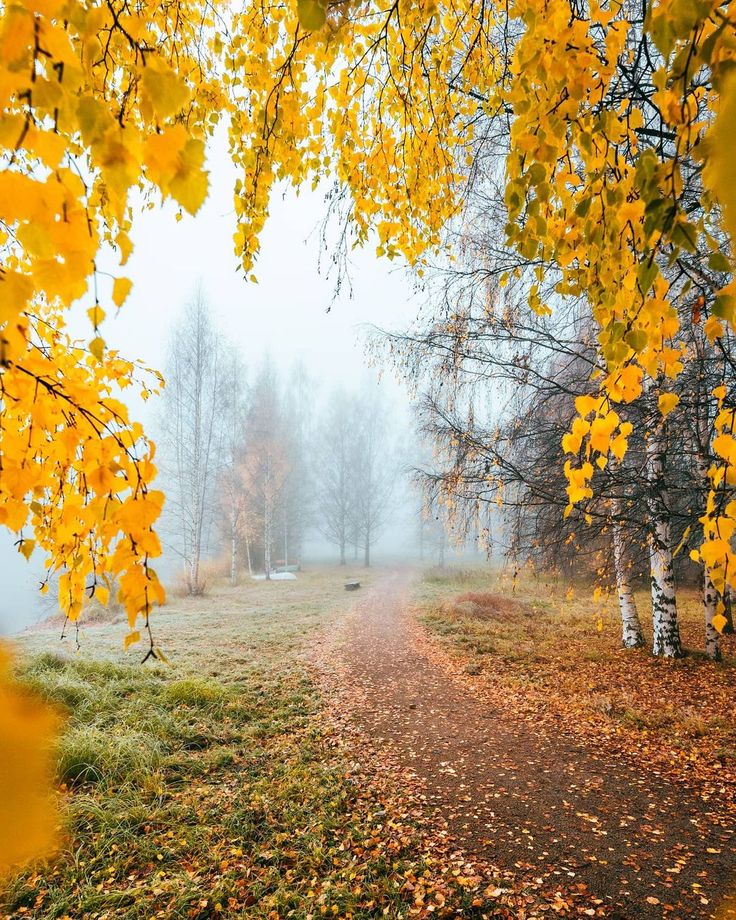 Осенний акростих - 2