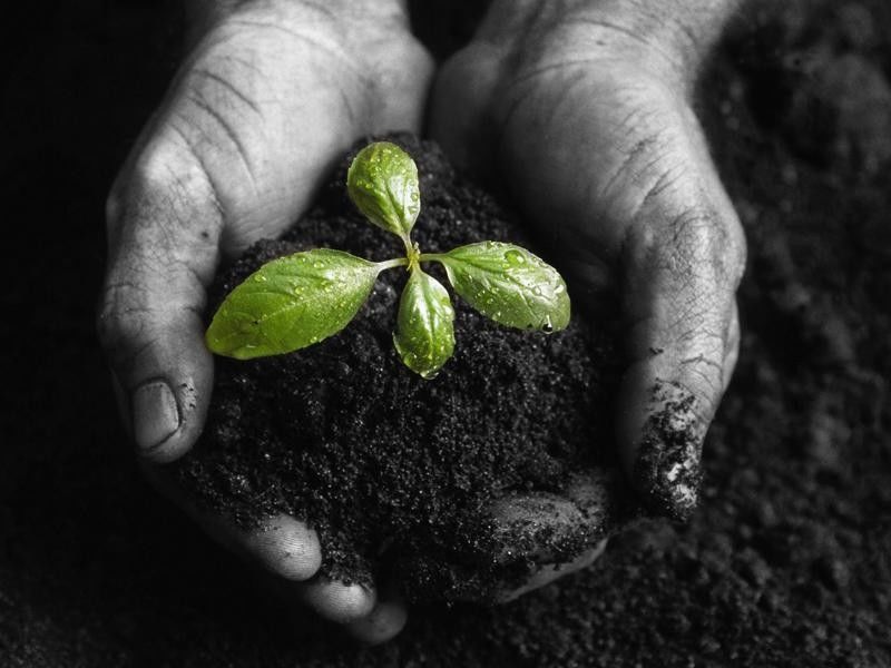 Возвращение на Землю. 6 стих