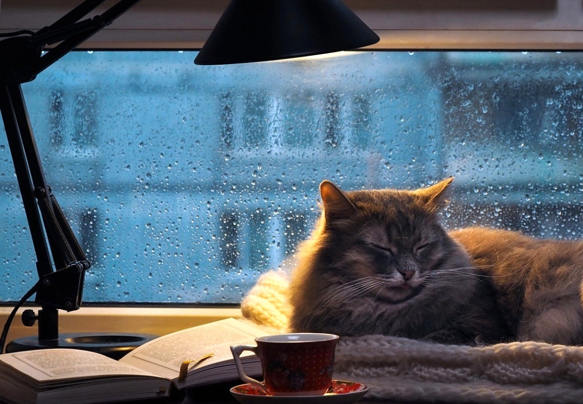 Осенний гекзаметр