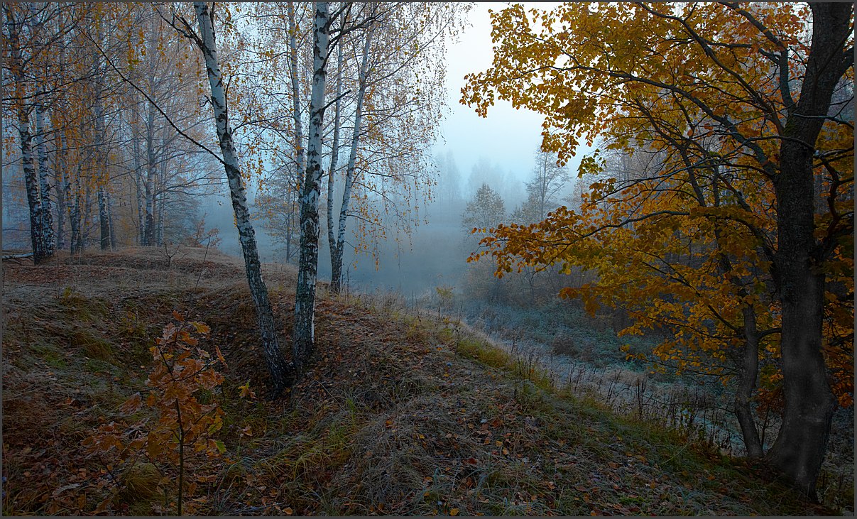 Отшумела пора золотая...
