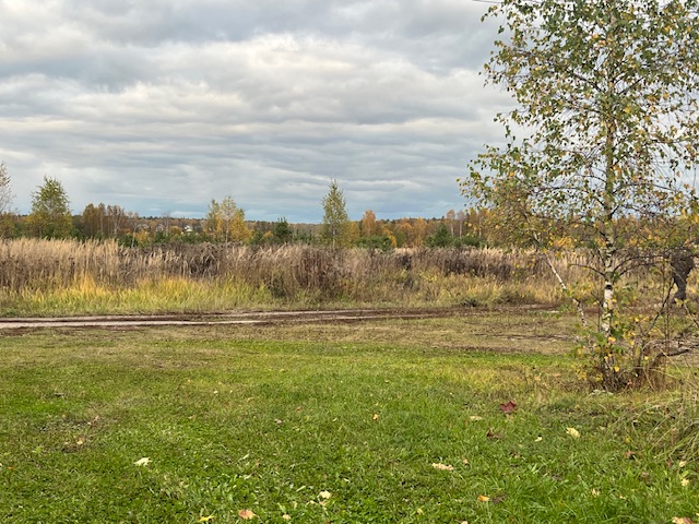 Осенние мотивы