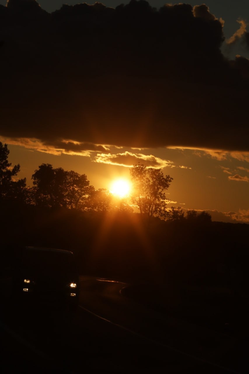 Твои вопросы