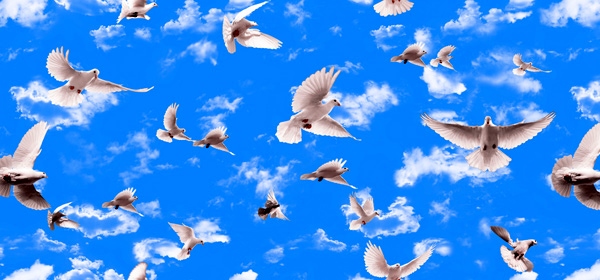 Осень. Холодно. Жёлтые листья...