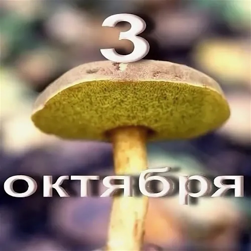 3 октября