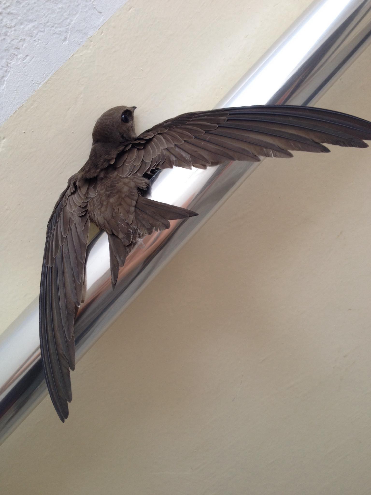 октябрь. Морок