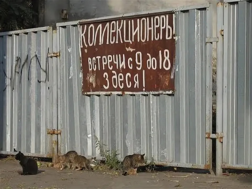 Плюшкиниана