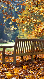 Под листопадом