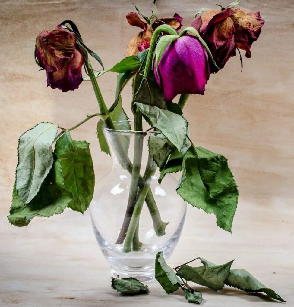 Букет из роз