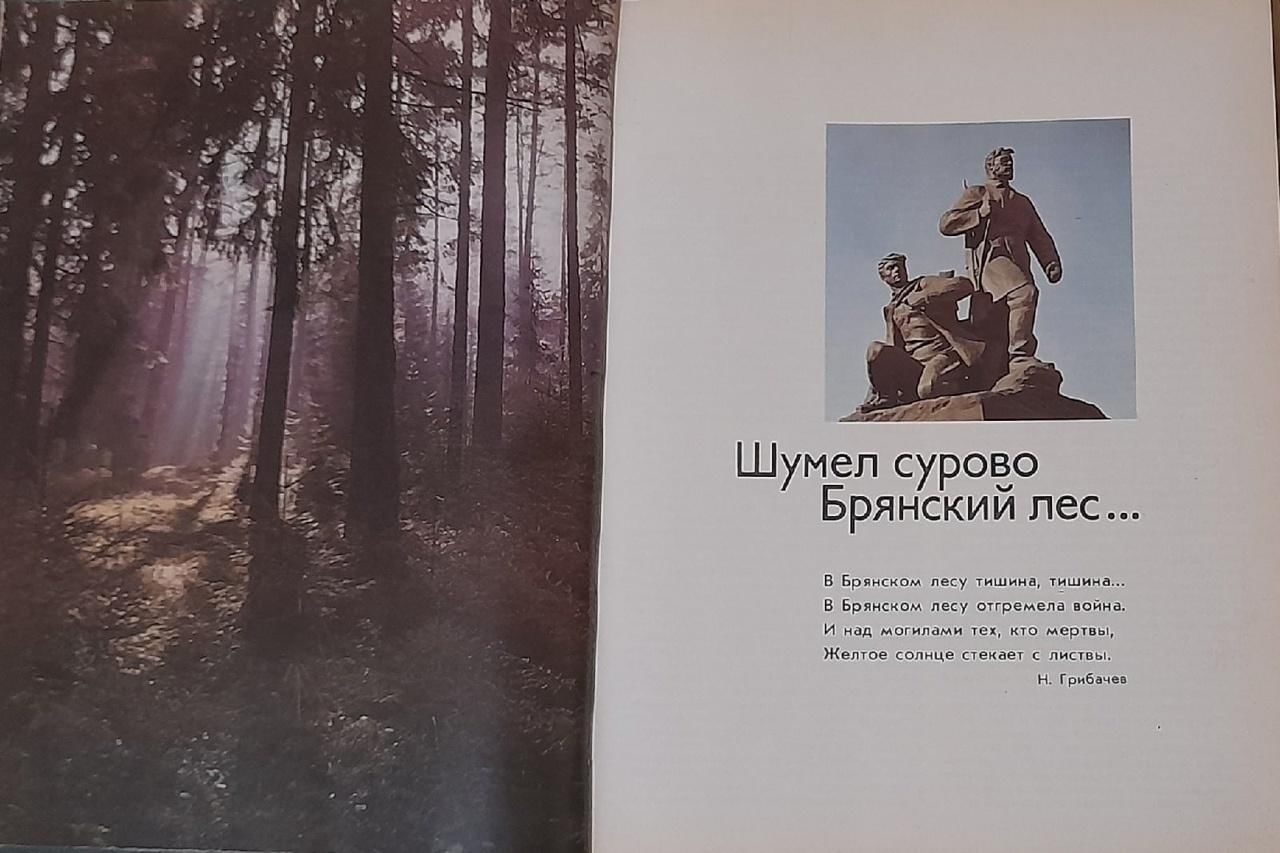 В Брянском лесу