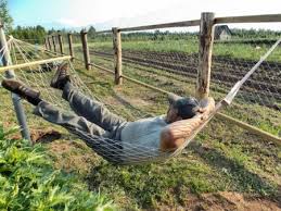 Сосед знал посева секрет