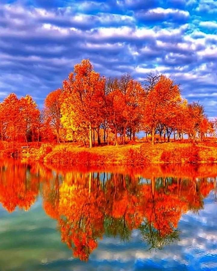 Красное золото осени