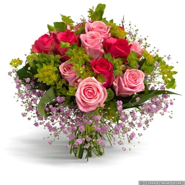 Алевтина, поздравляю С днём рожденья!