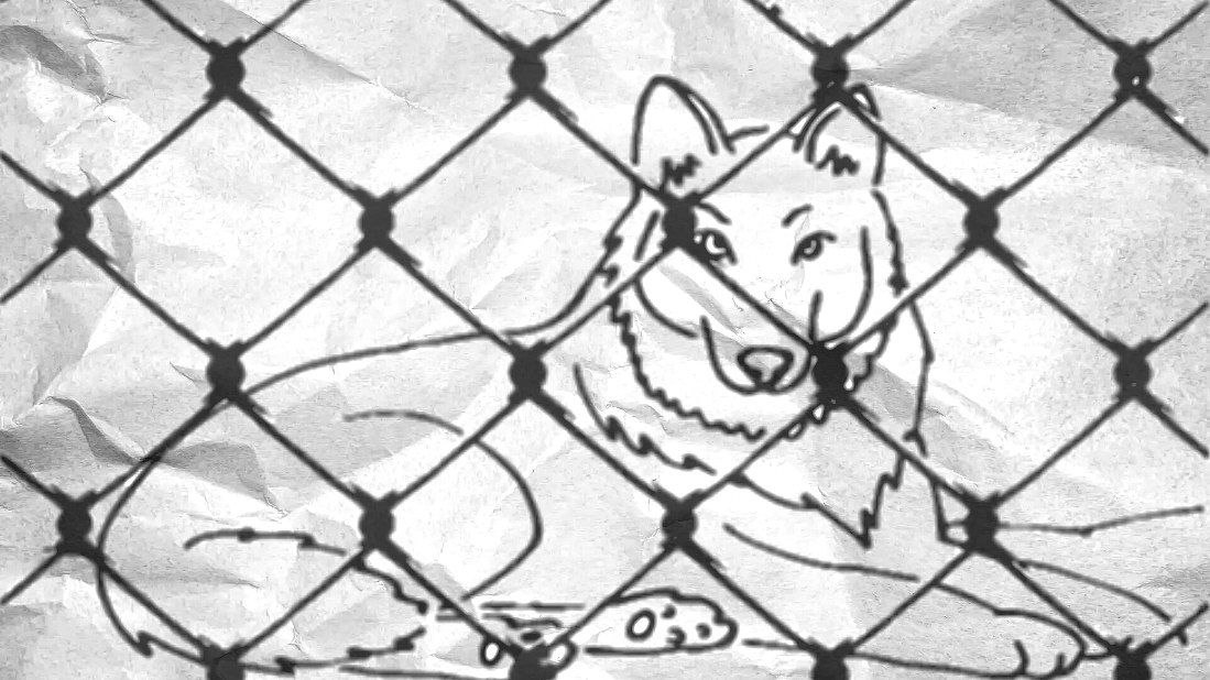 Социальный эксперимент